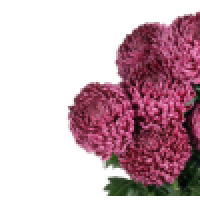 1 сентября
