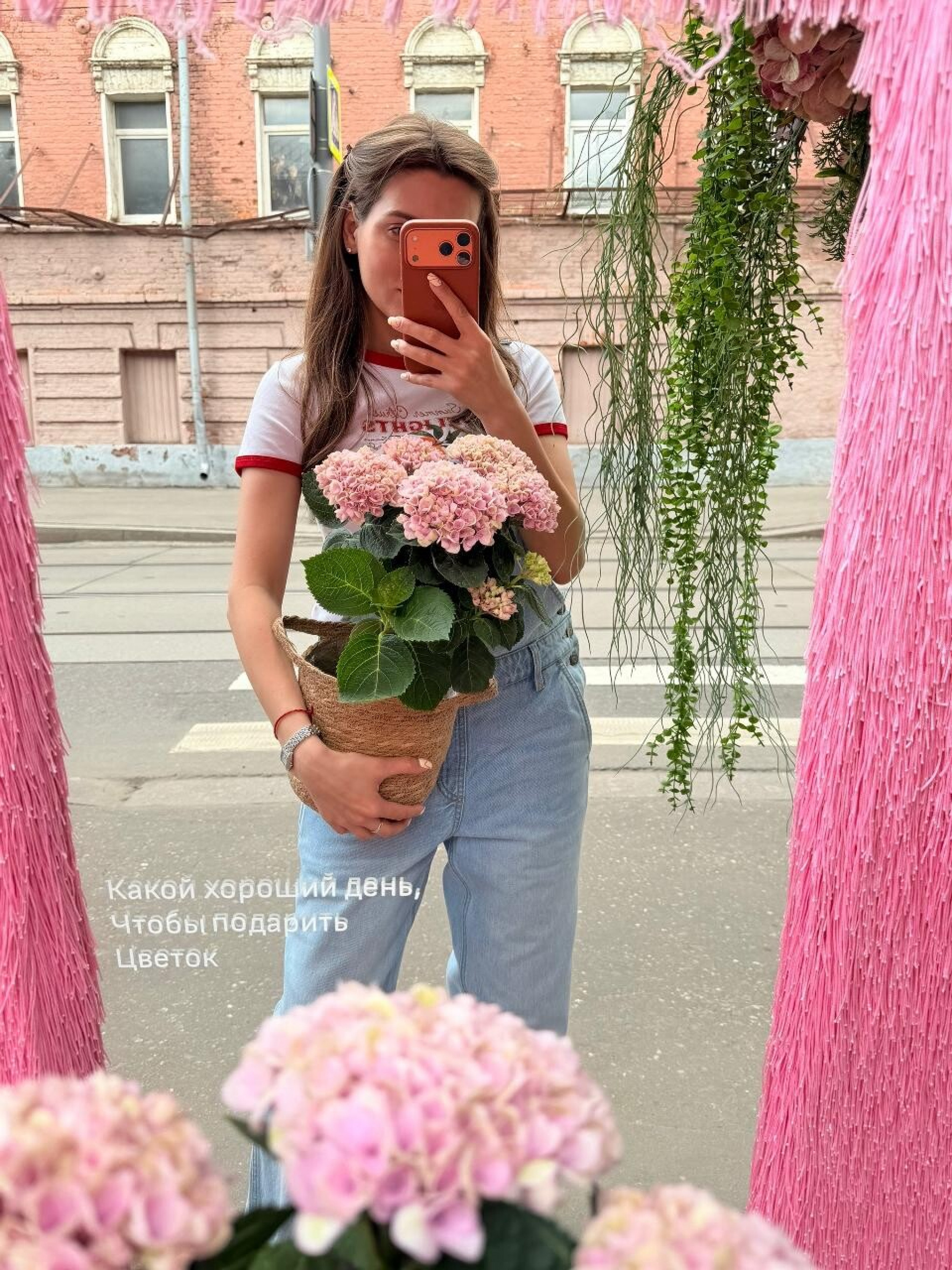 Гортензия в корзине M